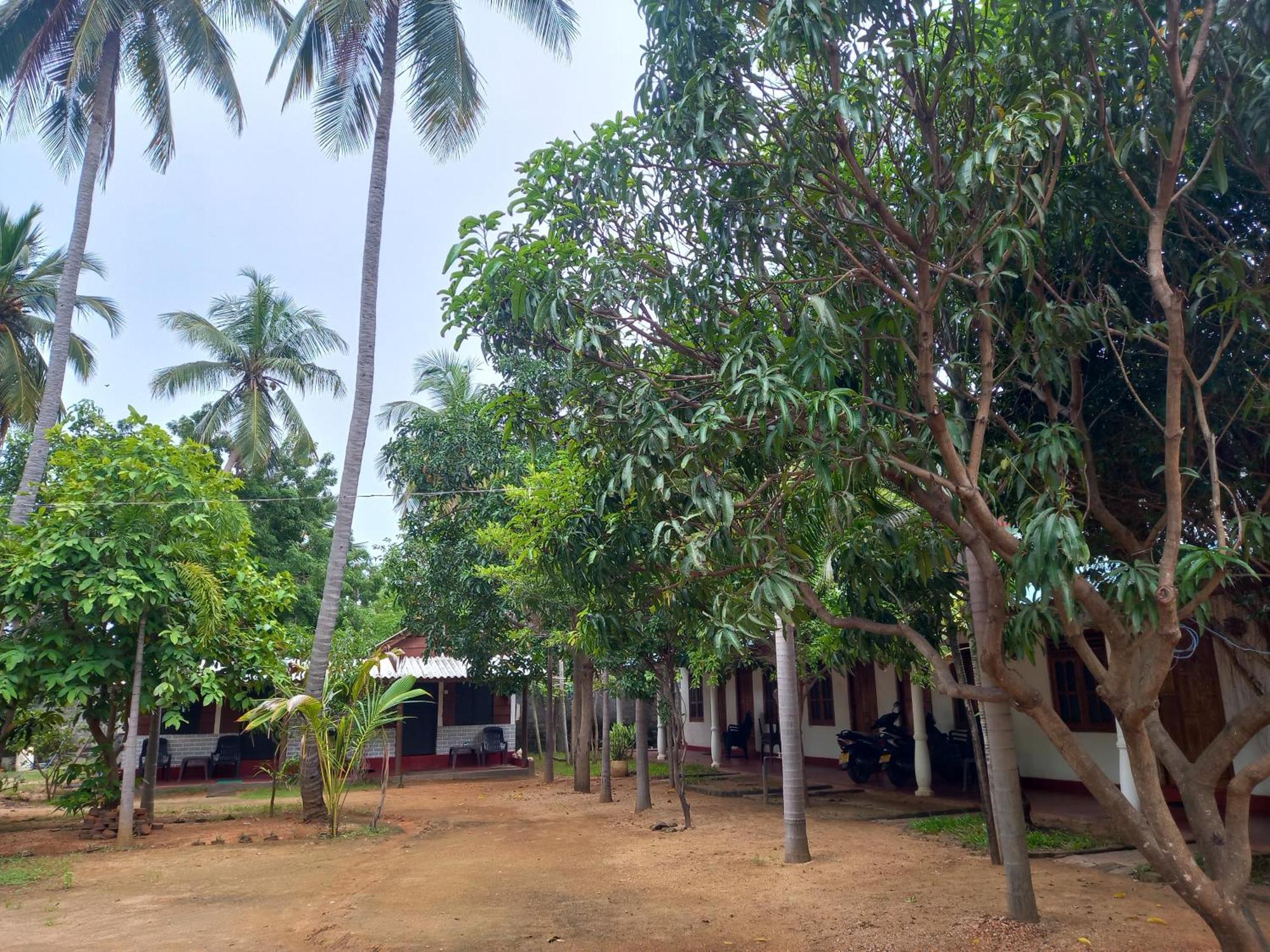Hotel Sea Shadow Trincomalee Chambre photo